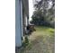 Spacious backyard with storage bins and lush greenery at 626 Baldwin Dr, Kissimmee, FL 34758