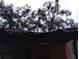 Shows the roof of the property with extensive damage and areas that are uncovered at 800 Nicole Blvd, Ocoee, FL 34761