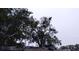 Damaged roof of a property showing some exposed sheathing and covered with tarps at 800 Nicole Blvd, Ocoee, FL 34761