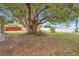Large backyard featuring a mature tree providing natural shade at 900 Delaware Ave, St Cloud, FL 34769