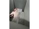 Stairway with wood-look floors, view looking down at 920 Gillingham Ct, Kissimmee, FL 34758