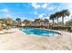 Large community pool with lounge chairs and palm trees, perfect for relaxation and recreation at 2424 Barley Club Ct # 8, Orlando, FL 32837