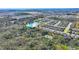 Aerial view of neighborhood, showcasing the location near a lake, forest, and other homes at 246 Tomelloso Way, Davenport, FL 33837