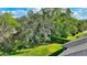 Lush backyard featuring a mature tree, a green lawn and privacy hedging at 246 Tomelloso Way, Davenport, FL 33837
