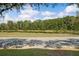 Picturesque view of a tranquil pond surrounded by lush greenery in a peaceful neighborhood setting at 3329 Schoolhouse Rd, Harmony, FL 34773