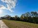 Scenic backyard view with a lush lawn and mature trees, perfect for outdoor enjoyment at 3491 Allegra Cir, St Cloud, FL 34772