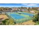 Aerial view of tennis courts surrounded by lush landscaping and a lake view at 1036 Salamanca Pl, Davenport, FL 33837