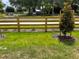 Home's front yard with a wooden fence and newly planted tree at 2595 Buena View Road, Kissimmee, FL 34746