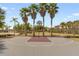 Outdoor basketball court with palm trees providing shade for a friendly game of hoops at 4506 Alberto Cir, Kissimmee, FL 34746