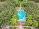 Overhead shot presenting the community pool, shaded by towering palm trees and dense green foliage at 720 Siena Palm Dr # 101, Celebration, FL 34747