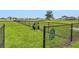 Fenced dog park with grassy areas, waste disposal stations, and seating, promoting a pet-friendly community at 1827 Silverbell Loop, Haines City, FL 33844