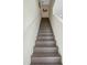 Carpeted staircase with wooden steps and white railings leading to the upper level at 2980 Caribbean Soul Dr, Kissimmee, FL 34747