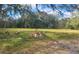 Expansive backyard with mature trees and grass at 610 Buckley Dr, Kissimmee, FL 34741