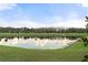 Picturesque view of the tranquil pond, complemented by lush greenery and a serene atmosphere at 6808 Cranes Roost Rd, Harmony, FL 34773