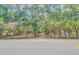 Long driveway leading to the home with an American flag flying near the front entrance and lush landscaping at 15345 Rockridge Rd, Polk City, FL 33868