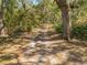 Leafy driveway leading towards a quiet home in the woods at 2921 Seminole Rd, St Cloud, FL 34772