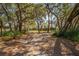 Mature trees frame the long leafy driveway leading towards a cottage-style home at 2921 Seminole Rd, St Cloud, FL 34772