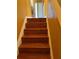 Staircase with wood steps and white risers leading to the upper level of the home at 350 Corsica Ct, Kissimmee, FL 34758