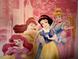 A beautiful Disney princess mural adorns the wall at 723 Tuscan Hills Blvd, Davenport, FL 33897