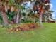 Lush backyard with mature palm trees, and green lawn at 1710 Big Oak Ln, Kissimmee, FL 34746