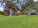 Expansive backyard featuring lush green lawn, mature trees, and tropical palm trees at 1710 Big Oak Ln, Kissimmee, FL 34746