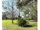 Spacious grassy yard with mature trees creating a peaceful atmosphere at 3285 Majestic Oak Dr, St Cloud, FL 34771