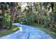 Scenic view of a concrete driveway winding through a lush, green wooded area at 484 Villa Park Rd, Kissimmee, FL 34759