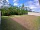 Large backyard with iron and vinyl fencing and trees beyond at 5295 Timberland Ave, St Cloud, FL 34771