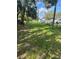 Lush green backyard surrounded by mature palm trees at 610 Illinois Ave, St Cloud, FL 34769