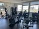 Gym featuring various exercise machines and equipment, and bright windows overlooking the lake at 8766 The Esplanade # 23, Orlando, FL 32836