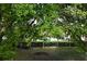 View of the community pool surrounded by mature landscaping, offering a tranquil outdoor living space at 8766 The Esplanade # 23, Orlando, FL 32836