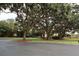 Scenic street view highlighting mature trees and landscaping, enhancing the neighborhood's curb appeal at 991 Lake Berkley Dr, Kissimmee, FL 34746