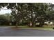 Scenic street view showcasing mature trees and landscaping in the neighborhood at 991 Lake Berkley Dr, Kissimmee, FL 34746