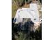 An aerial shot shows the screened-in pool and neutral tile roof at 1695 Horseshoe Rd, Enterprise, FL 32725