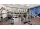 Well-equipped fitness center with modern cardio and weight training machines at 1873 Flora Pass Pl, Kissimmee, FL 34747