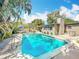 A beautiful backyard oasis with a sparkling swimming pool and lush tropical landscaping at 3004 Lake Margaret Dr, Orlando, FL 32806