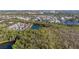 This overhead shot shows a residential community near a pond, surrounded by lush greenery at 826 Lake Evalyn Dr, Celebration, FL 34747