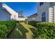 The side yard of this home features lush landscaping and manicured hedges on a sunny day at 826 Lake Evalyn Dr, Celebration, FL 34747