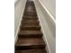 Interior view of a carpeted staircase with white trim at 1749 Fulfillment Dr, Kissimmee, FL 34744