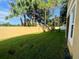 Private backyard with a green lawn and a tall fence, perfect for outdoor activities at 14320 Desert Haven St # 3906, Windermere, FL 34786