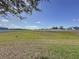 Large backyard with healthy lawn, a bright blue sky, and a community view in the distance at 1510 Chelsea Dr, Davenport, FL 33897
