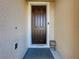 Front door entrance with dark door, white trim, rug, and small decorative basket at 1510 Chelsea Dr, Davenport, FL 33897