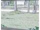 Small lawn and mature trees are visible from the front window at 2033 10Th Ave, Deland, FL 32724