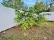 Lush greenery adorns the yard, showcasing a vibrant tree that brings natural beauty to the outdoor space at 18633 14Th Ave, Orlando, FL 32833