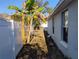 A view of the side yard with a white fence and various greenery, offering a glimpse of the outdoor space at 250 Sir Phillips Dr, Davenport, FL 33837