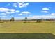 Expansive backyard with lush green grass, perfect for outdoor activities at 293 Pineywoods St, St Cloud, FL 34772