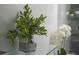 A decorative green plant sits on a glass shelf for an appealing visual aesthetic at 6165 Carrier Dr # 2108, Orlando, FL 32819