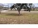 Lush front yard with mature tree enhancing the curb appeal of the home at 1919 Escambia Ln, Kissimmee, FL 34759