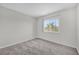 Inviting bedroom featuring a cozy carpet and a bright window view at 2450 Parsons Pond Cir, Kissimmee, FL 34743