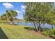 Scenic lake view with lush greenery and palm trees against a clear blue sky, creating a tranquil outdoor setting at 3390 Fallbrook Dr, Kissimmee, FL 34759
